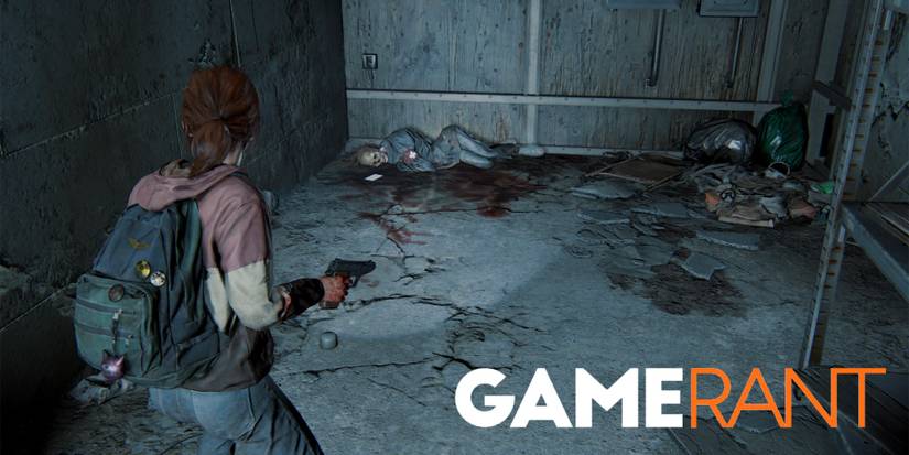 The Last of Us Left Behind Artifacts 11