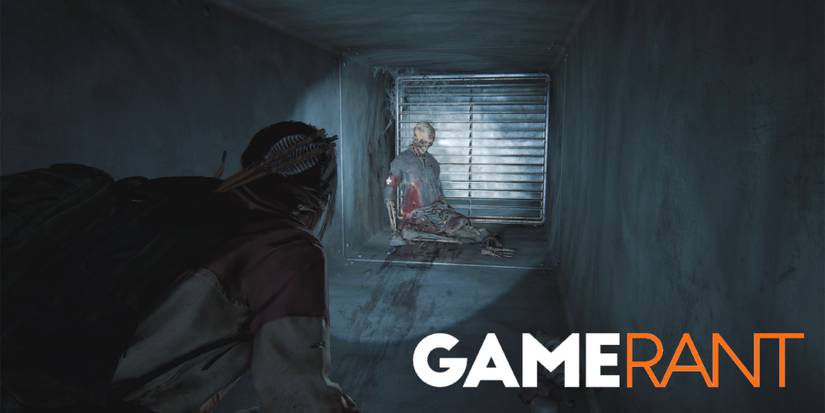 The Last of Us Left Behind Artifacts 12