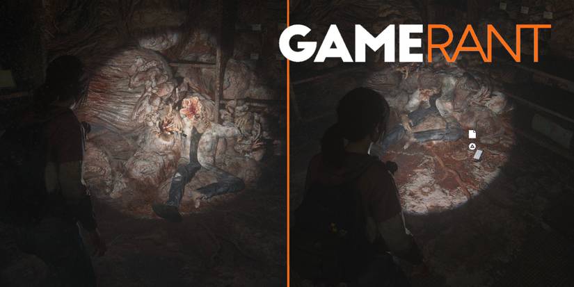 The Last of Us Left Behind Artifacts 2