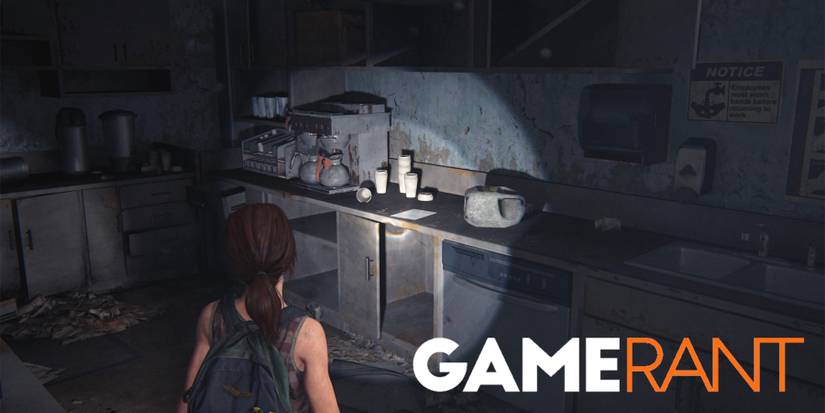 The Last of Us Left Behind Artifacts 5