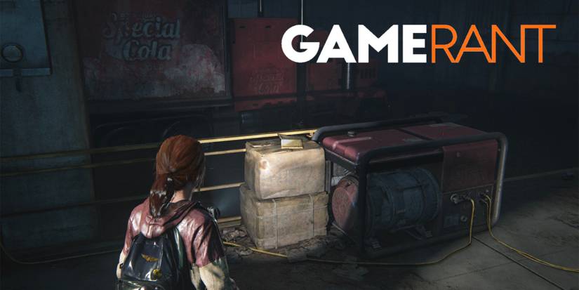 The Last of Us Left Behind Artifacts 7