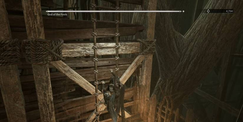 Thymesia God Of The Fools Ladder