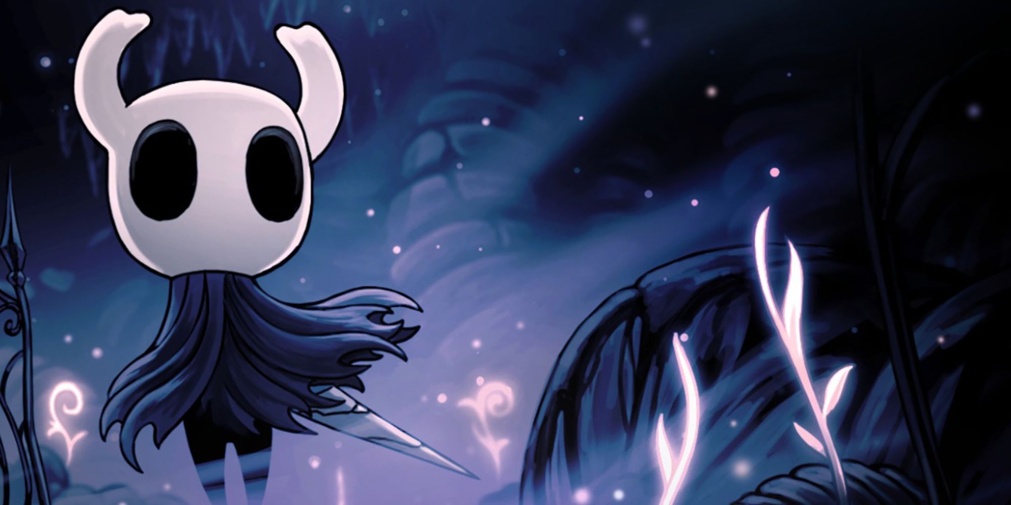 An Image From Hollow Knight