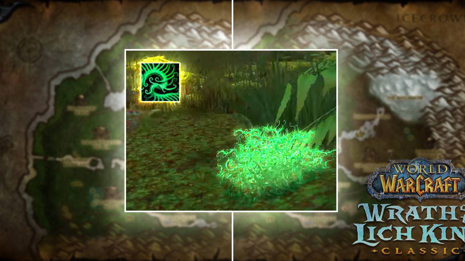 in game image of adder's tongue in wow wotlk classic wrath how to get and where to farm adder's tongue
