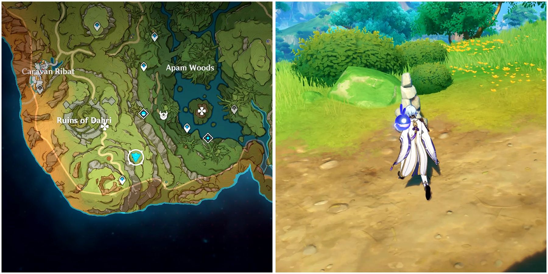 aranara eight location in genshin impact