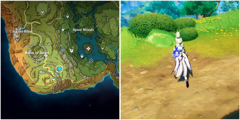 aranara eight location in genshin impact