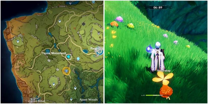 aranara six location in genshin impact