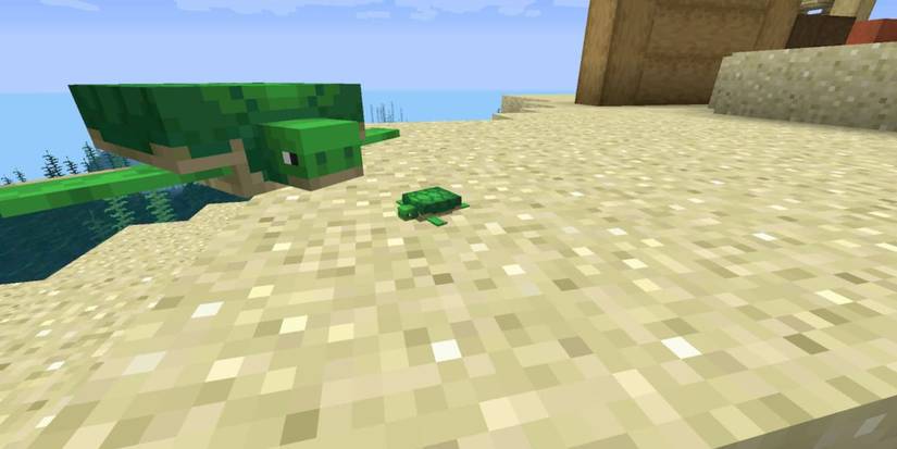 baby turtle minecraft (1)