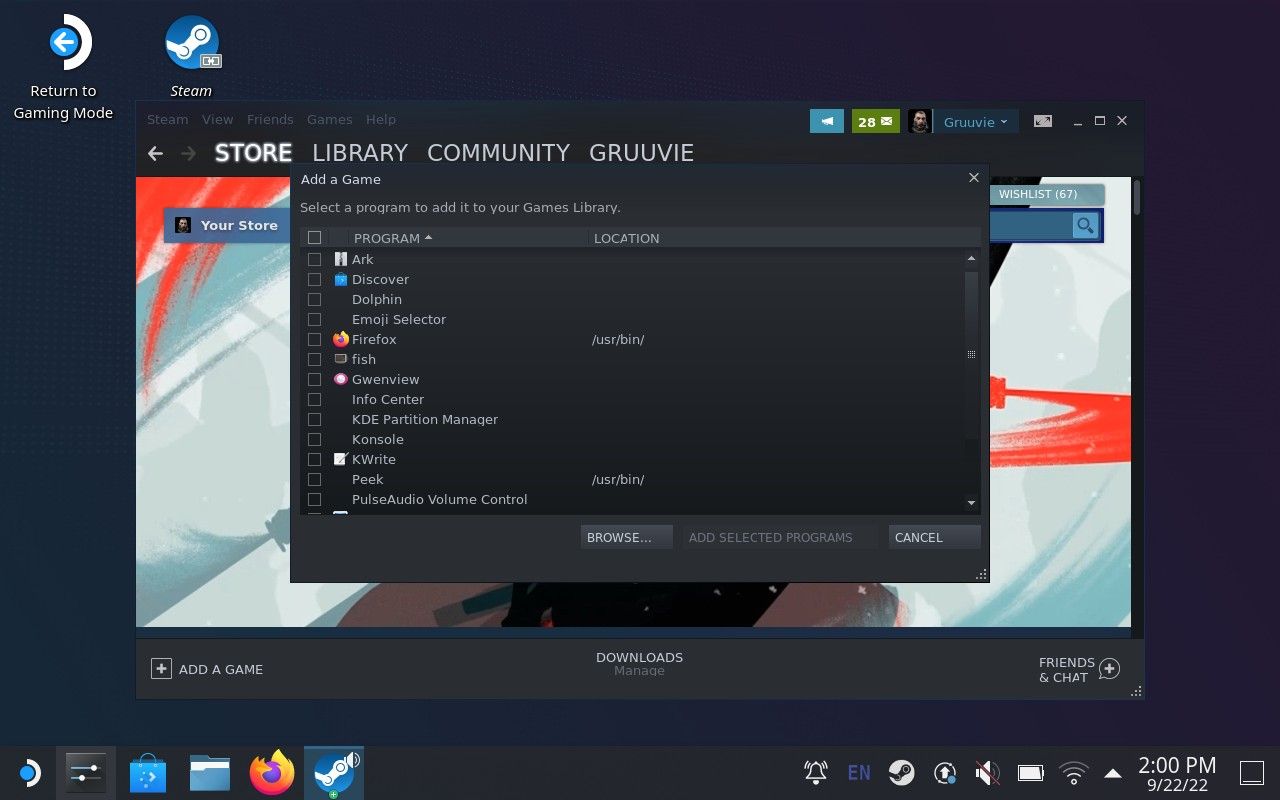 A window appears over the Steam interface with a list of programs. One of the buttons available is Browse...