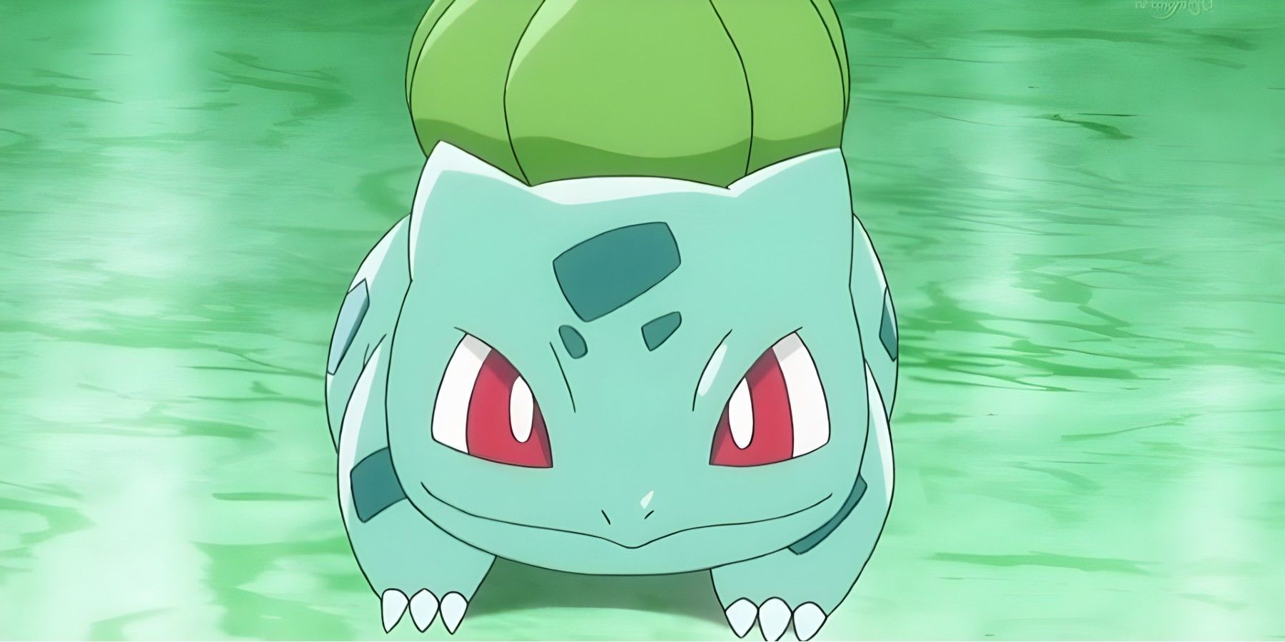 Bulbasaur Pokémon: How to catch, Stats, Moves