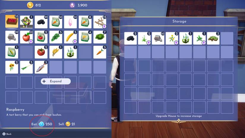 disney-dreamlight-valley-energy-guide2