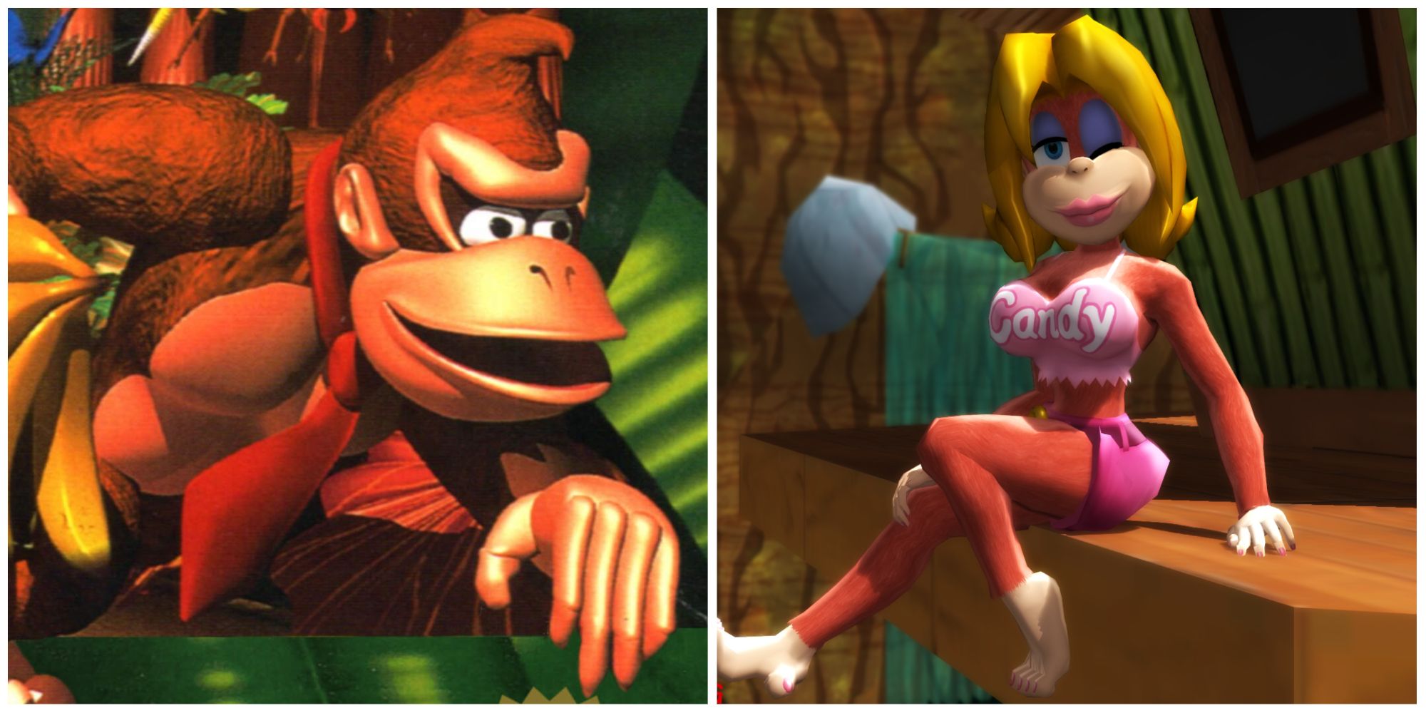 donkey and candy_kong