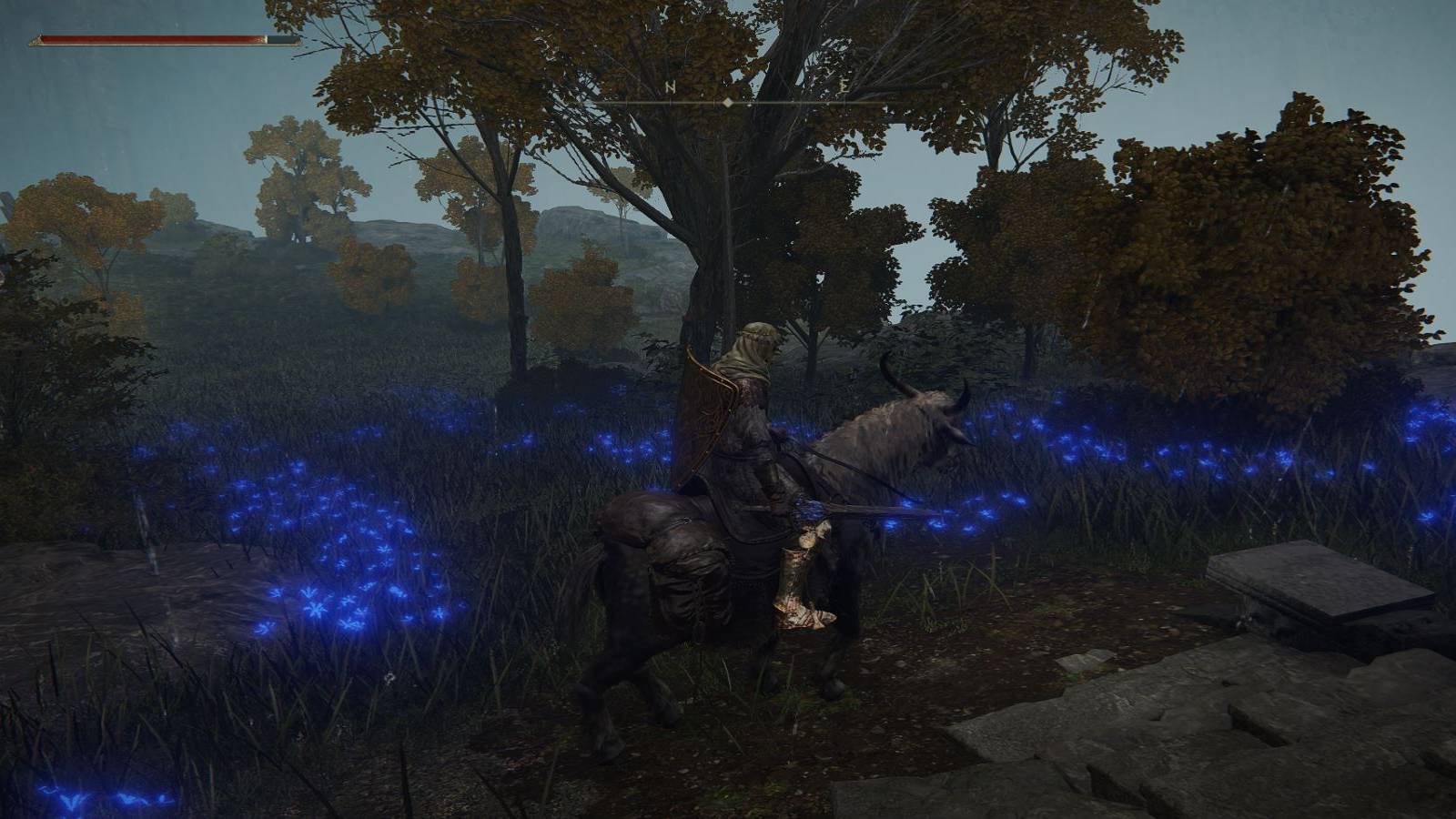 elden-ring-torrent-1