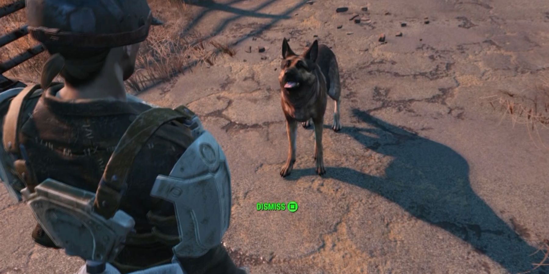 fallout 5 dogmeat