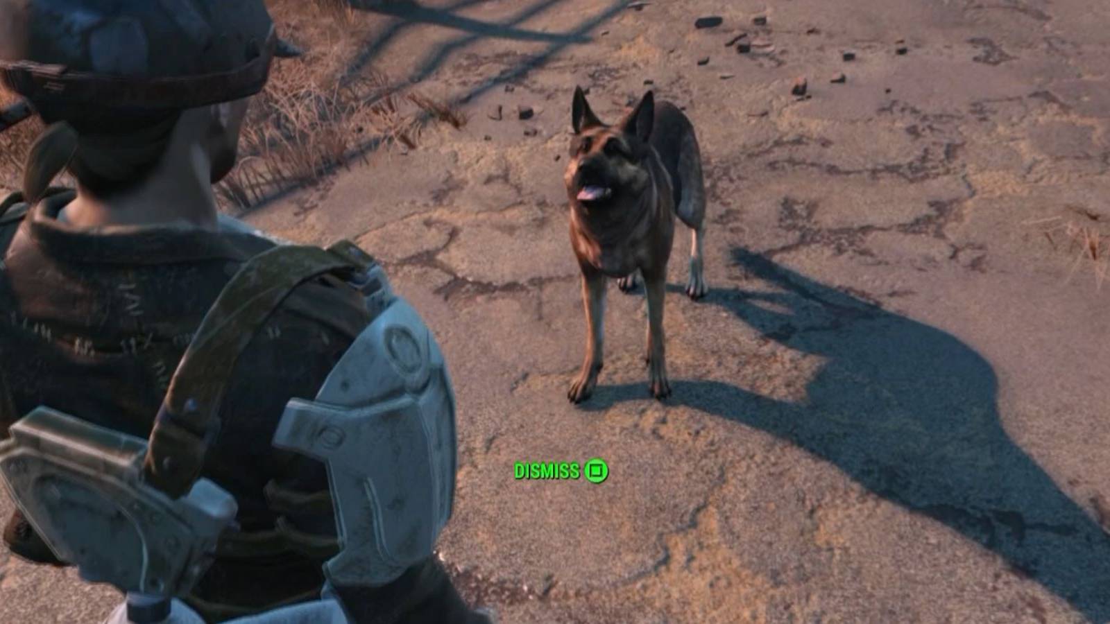 fallout 5 dogmeat