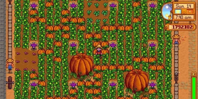 giant pumpkin stardew valley