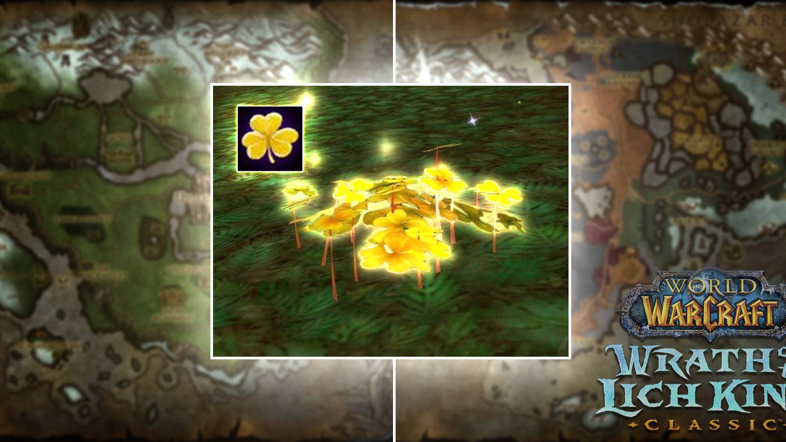image of goldclover from wow wotlk classic wreath highlighting where to get in game