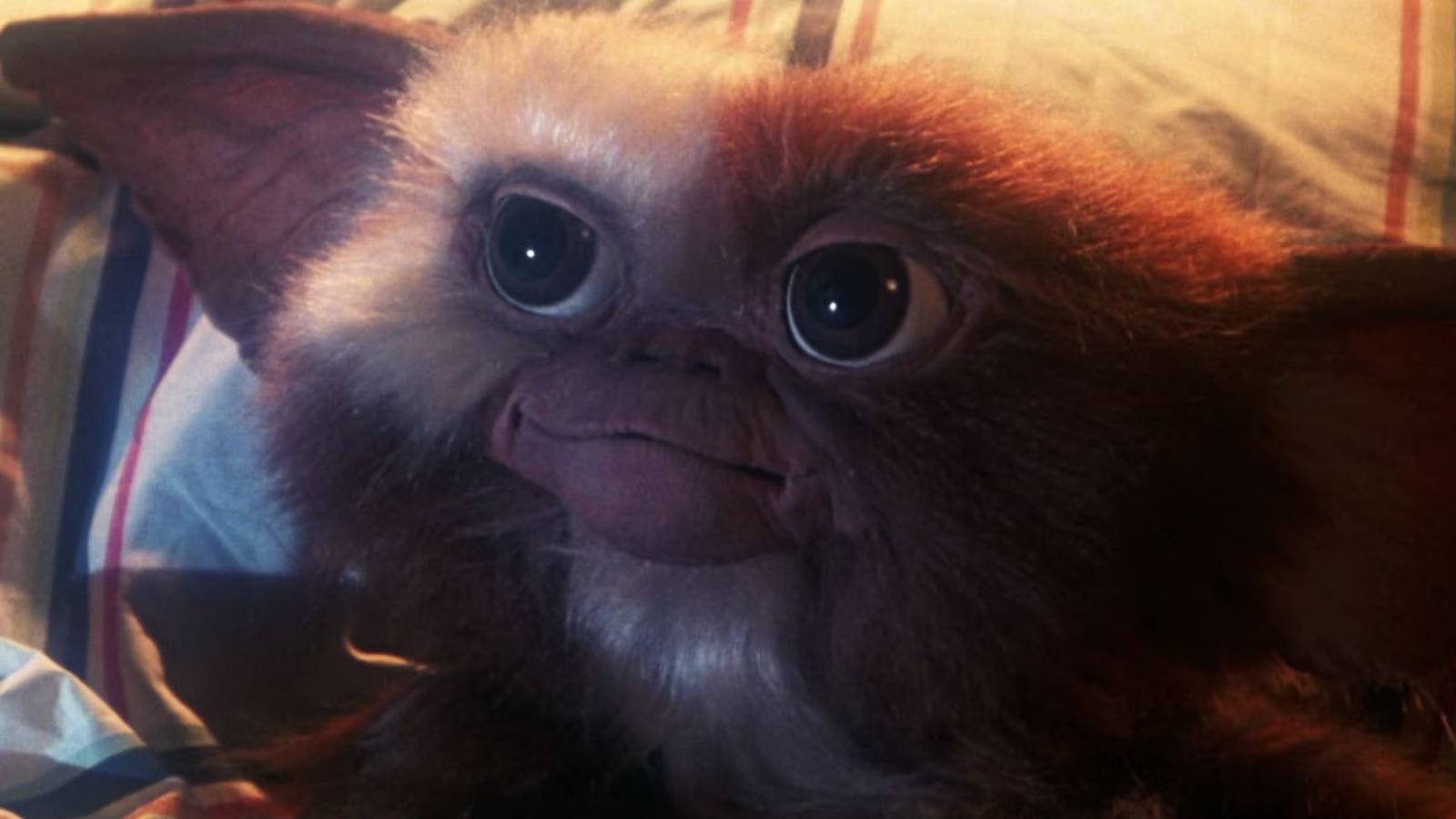 gremlins gizmo