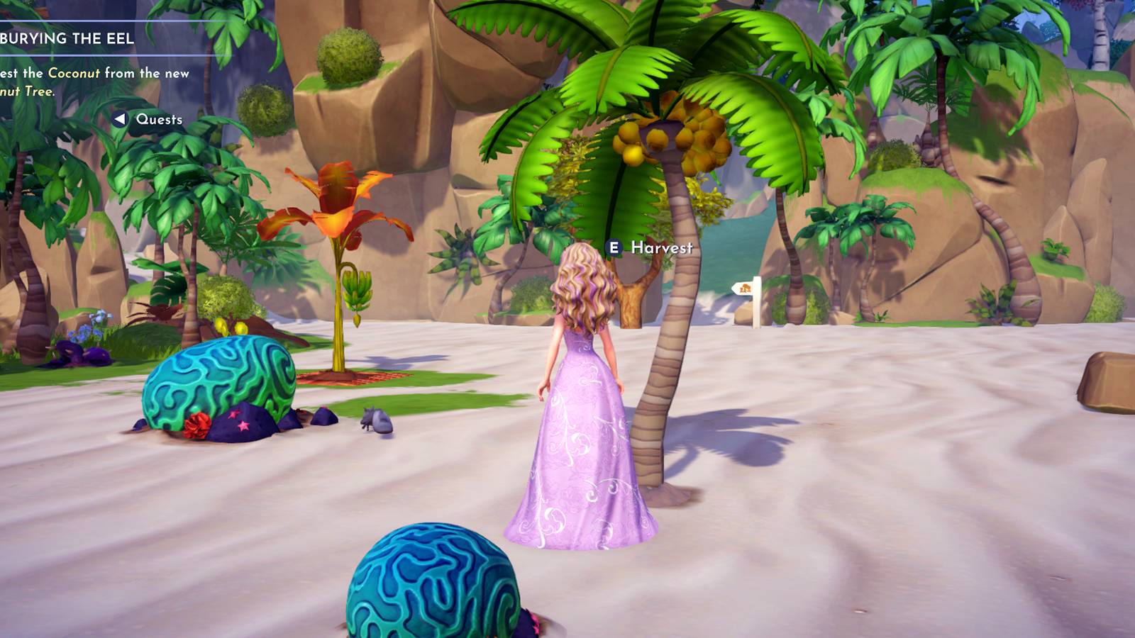 how to get coconut in disney dreamlight valley