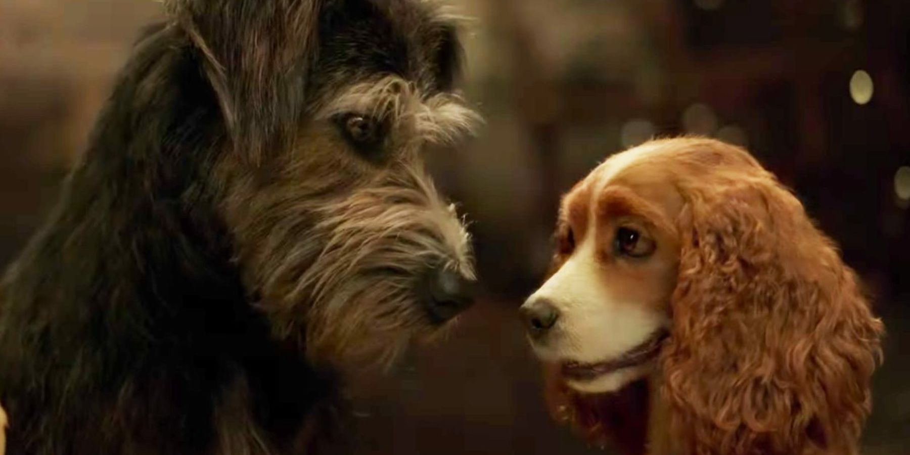 Lady and the Tramp exchanging a heartfelt look in the Disney remake