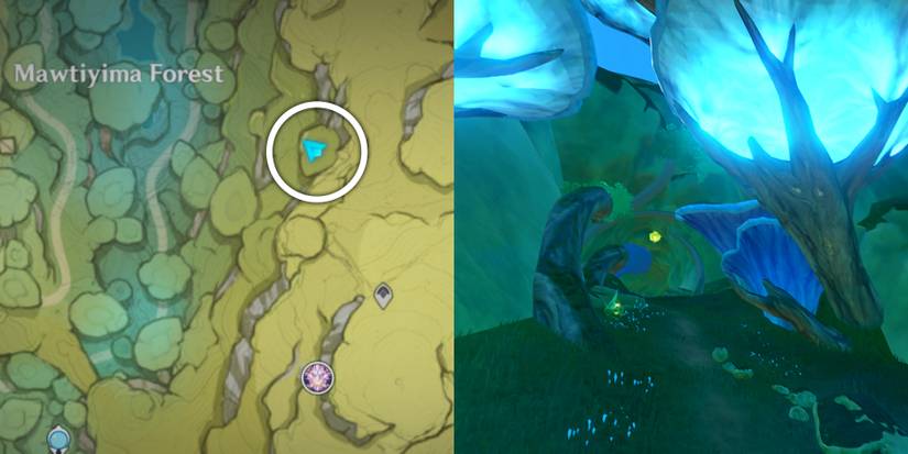 location and how to reach Electro Regisvine Genshin Impact 