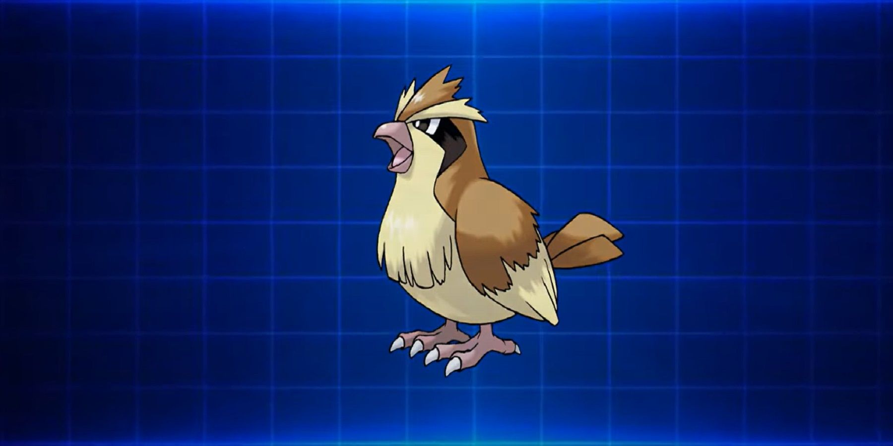 Fã de Pokémon encontra pássaro real muito parecido com o Pidgey