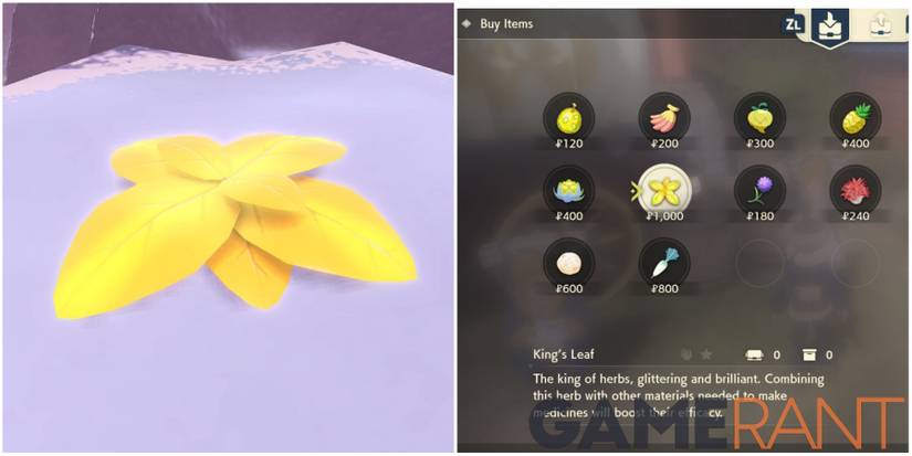 pokemon legends arceus king's leaf