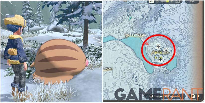 pokemon legends arceus swinub