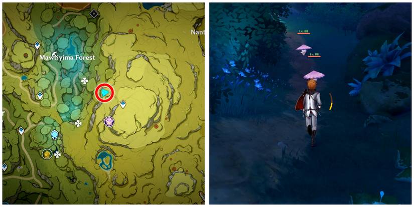 puzzle location in genshin impact