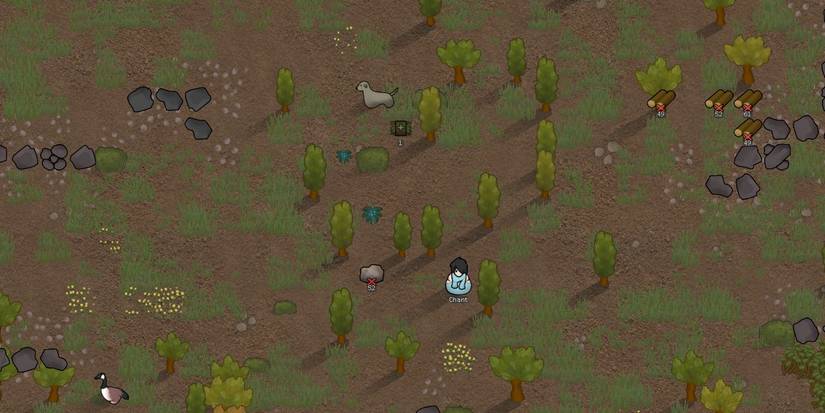 RimWorld harvesting Herbal Medicine