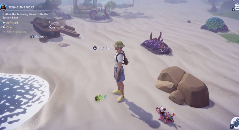 seaweed on floor beach disney dreamlight valley