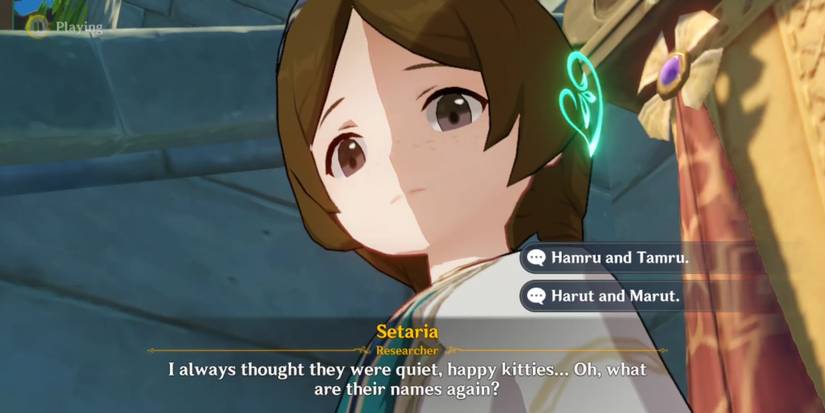 setaria kitties names questions in genshin impact