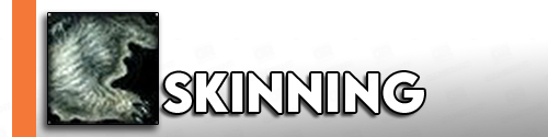 skinning-GRID2-1