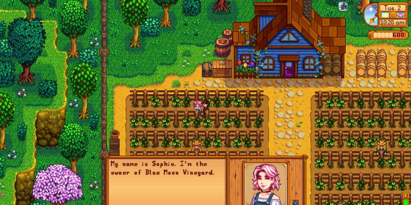 sophia stardew valley extended meeting