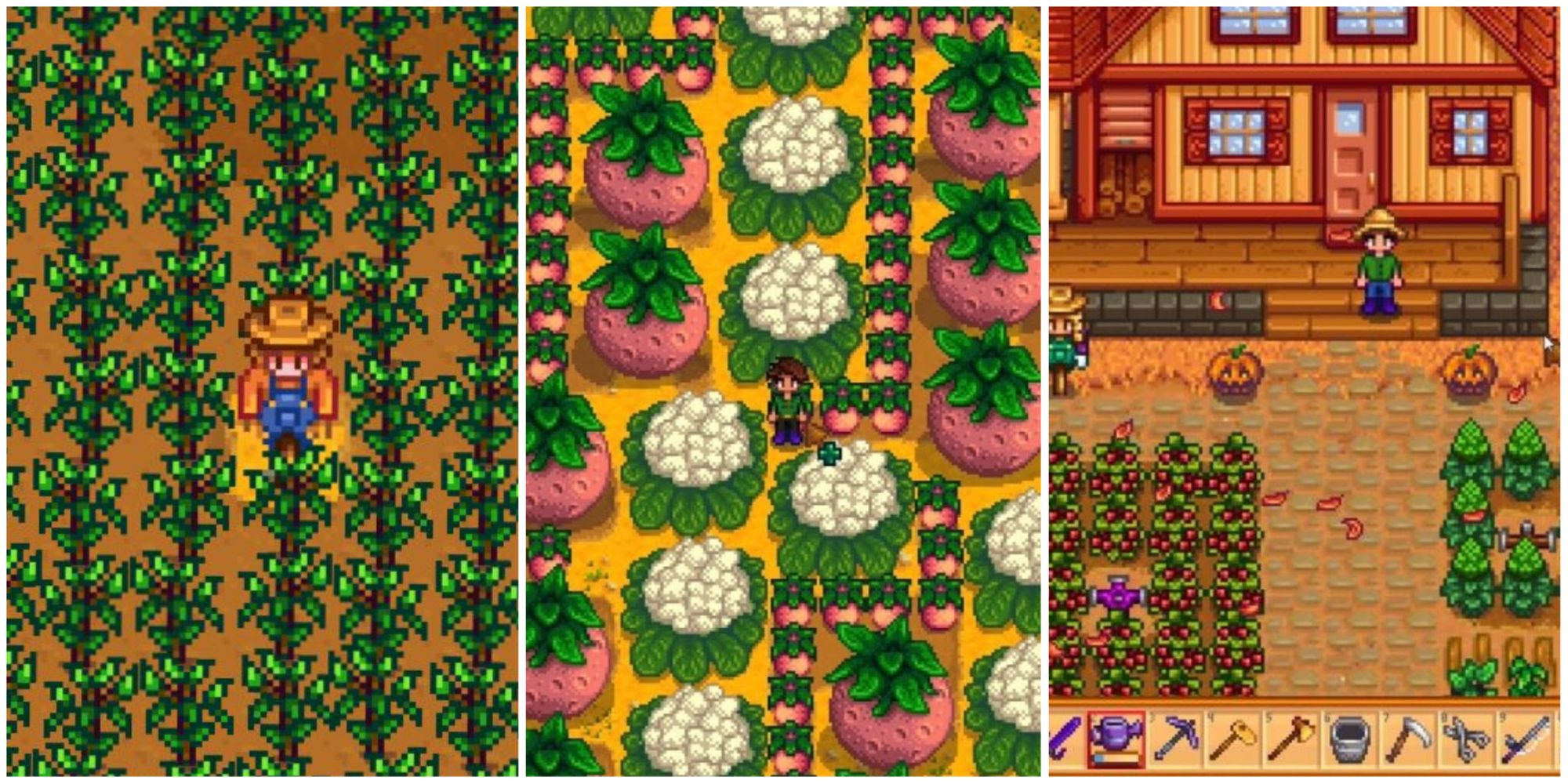 Stardew Valley split image featuring melons, cauliflowers, cranberries and more
