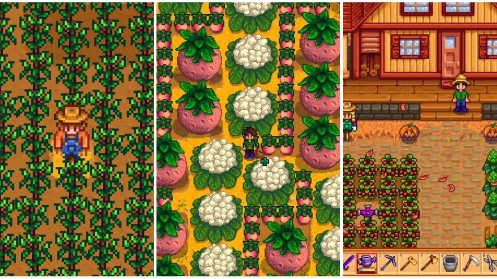Stardew Valley split image featuring melons, cauliflowers, cranberries and more