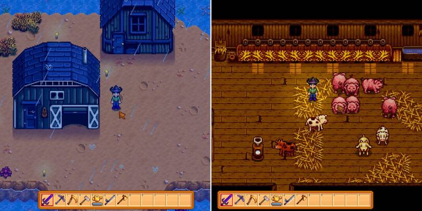 stardew valley barn and interior