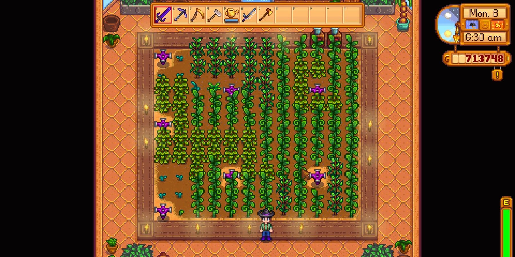 stardew valley greenhouse in use