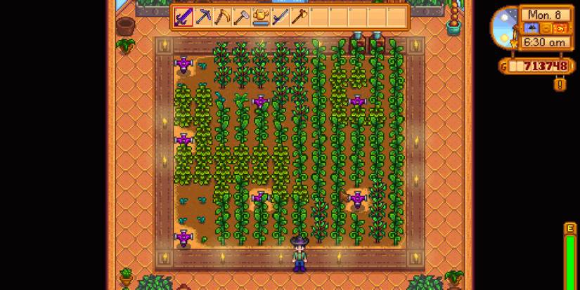 stardew valley greenhouse in use