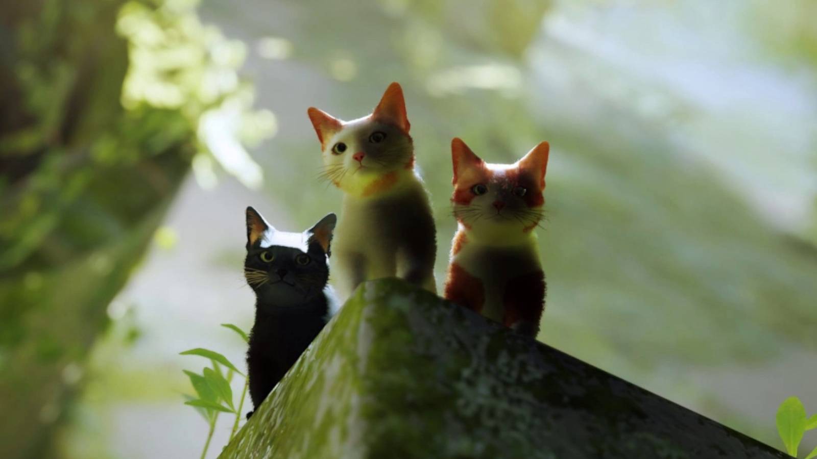 stray-game-playstation-aspca-donation