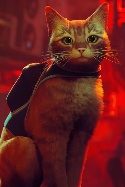 [Imagen: stray-game.jpg?q=50&fit=crop&h=600&dpr=1.5]