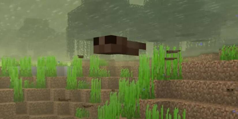 tadpole minecraft (1)