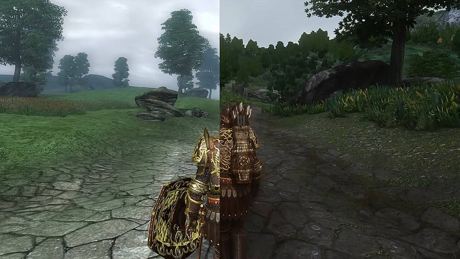 Screenshot from Elder Scrolls 4: Oblivion showing one half without mód and the other half with lots of visual mods.