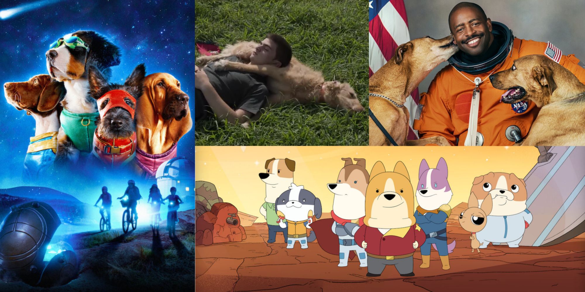 title split image superpupz seventeen dogs documentary series dogs in space cartoon