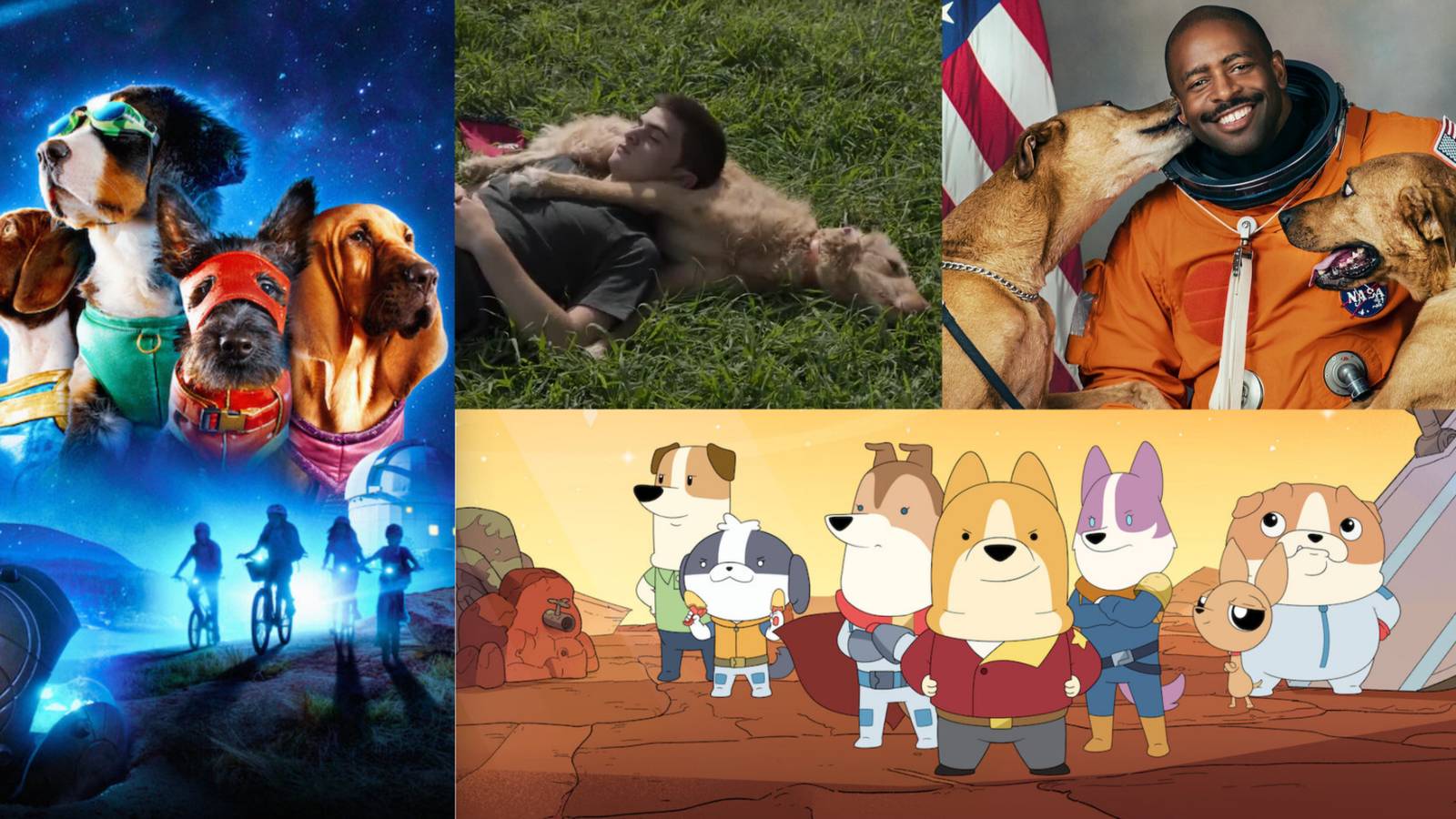 title split image superpupz seventeen dogs documentary series dogs in space cartoon