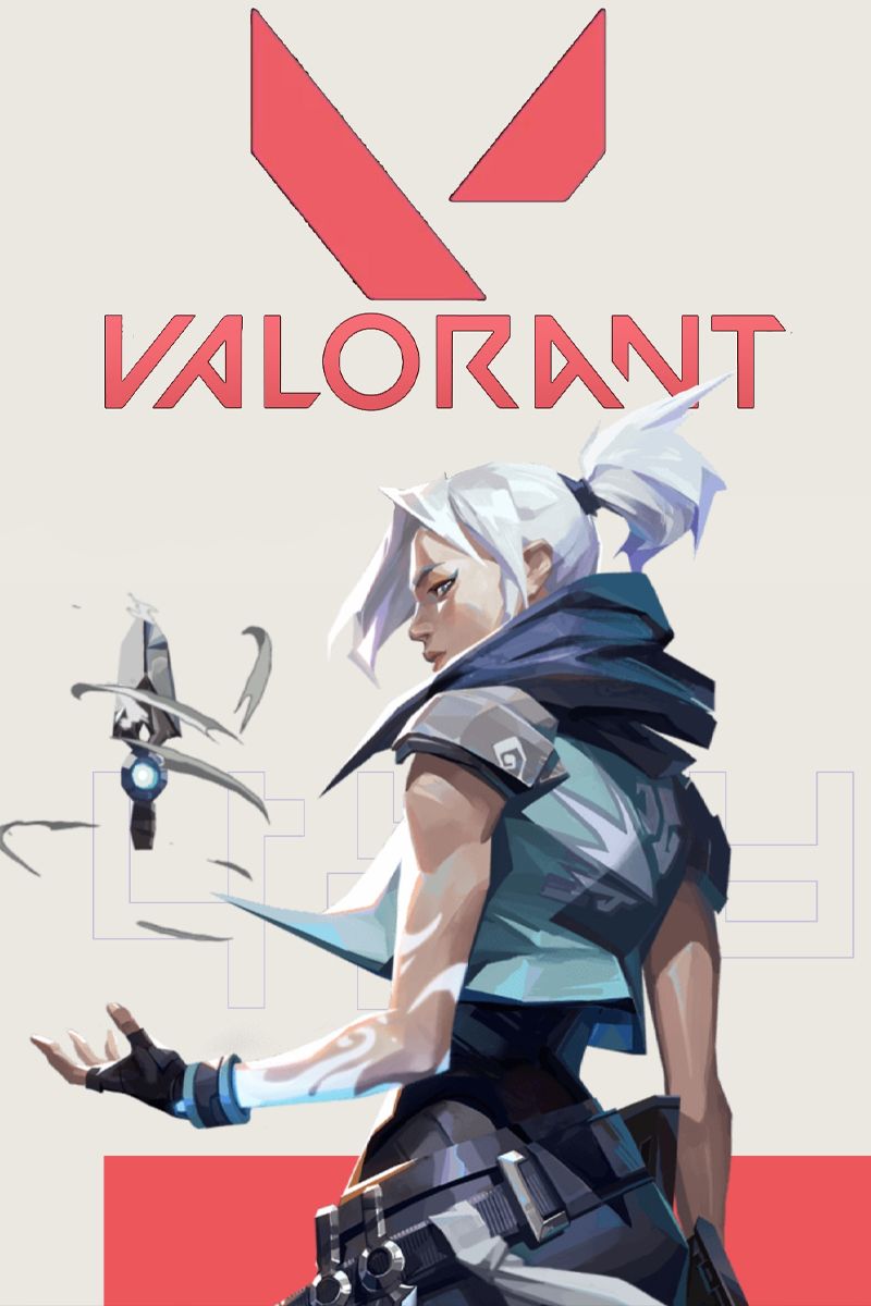 valorant box art