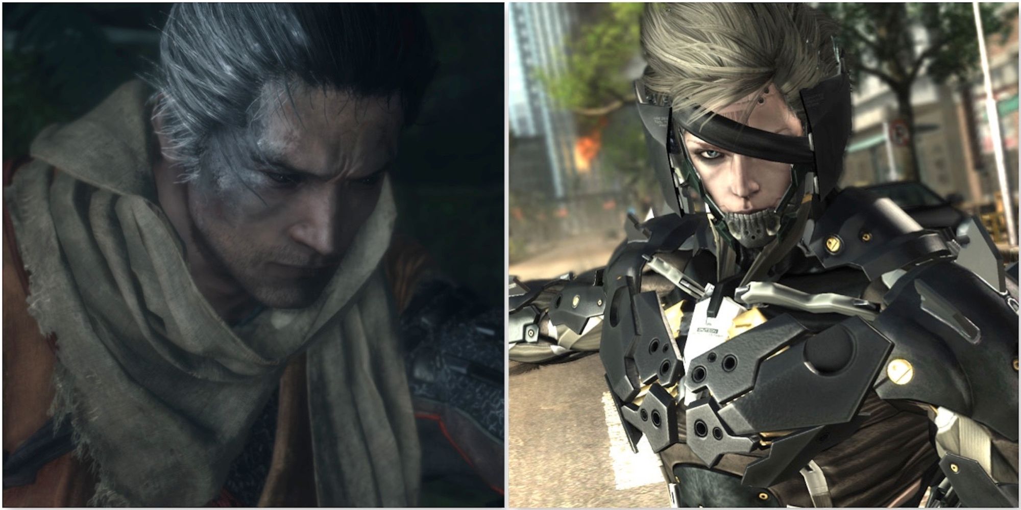 Wolf from Sekiro and Raiden from Metal Gear Rising