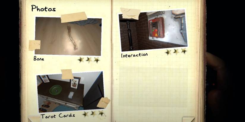 3 Star Photographs in Phasmophobia