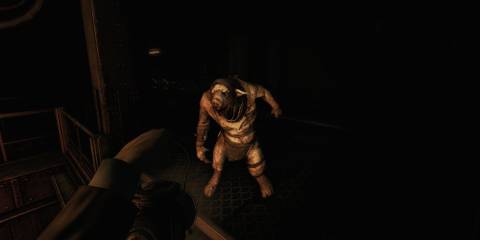 Amnesia A Machine for Pigs