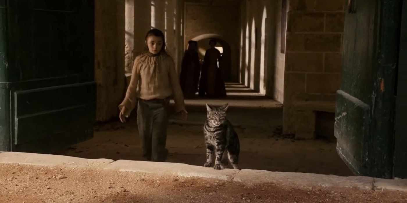 Arya chasing a cat in King's Landing.